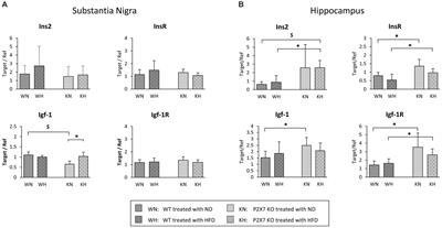 Lacking P2X7-receptors protects substantia nigra dopaminergic neurons and hippocampal-related cognitive performance from the deleterious effects of high-fat diet exposure in adult male mice